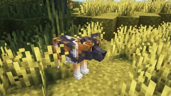 Wild Wolves screenshot