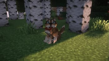 Wild Wolves screenshot