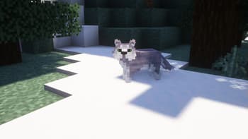 Wild Wolves screenshot