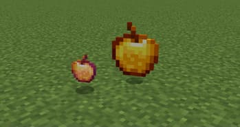 UHC Basics screenshot