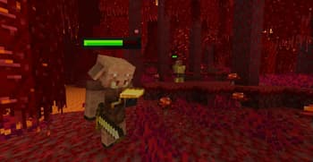 Spryzeen's Healthbars screenshot