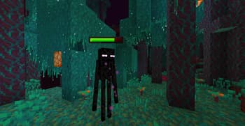 Spryzeen's Healthbars screenshot