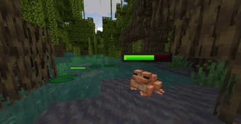 Spryzeen's Healthbars screenshot