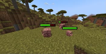 Spryzeen's Healthbars screenshot