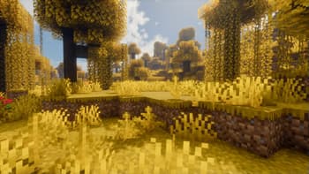 HexaBiome AuraFlare screenshot