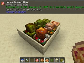Survivor's Delight screenshot