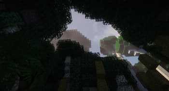TFC Regrowing Forests screenshot