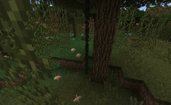 Inspirations screenshot