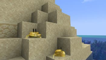 Rainbow Reef screenshot