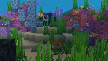 Rainbow Reef screenshot