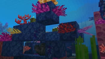 Rainbow Reef screenshot