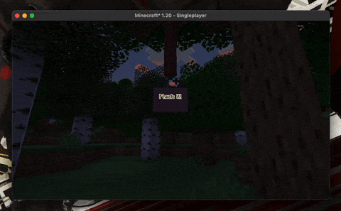 Flash screenshot