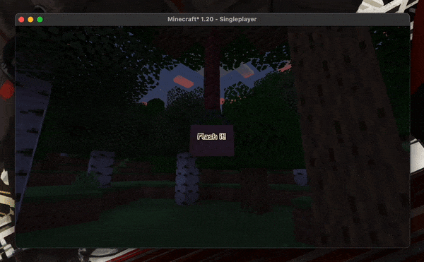 Flash screenshot