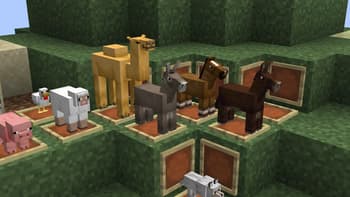 Anshuu Pack ! screenshot
