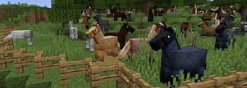 Vanilla Horse Retexture screenshot