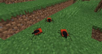 Arachnophobia screenshot