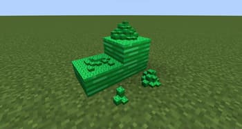 Coin Stacks for Villager Coin screenshot