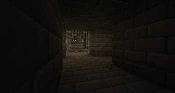 Coin Stacks for Villager Coin screenshot