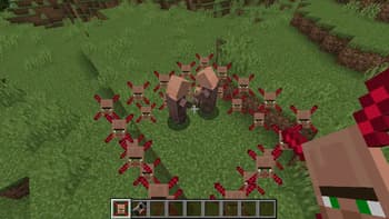 Villager Barrier screenshot