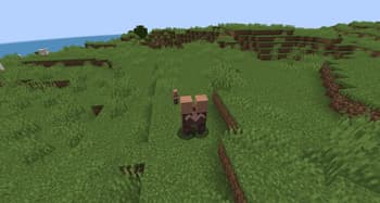 Villager Barrier screenshot