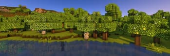 Mizuno Better Leaves screenshot