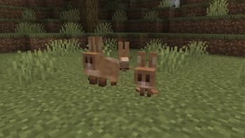Baby Animals and Rabbit model Backport screenshot