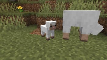 Baby Animals and Rabbit model Backport screenshot