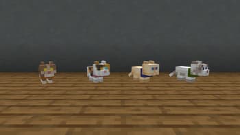 Baby Animals and Rabbit model Backport screenshot