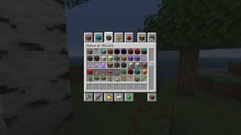 Inventory Item Groups screenshot