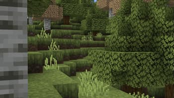 Coquet screenshot
