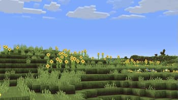 Coquet screenshot