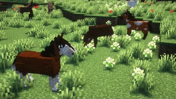 Better Horses screenshot