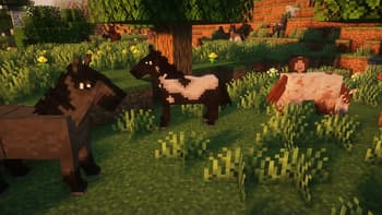 Better Horses screenshot