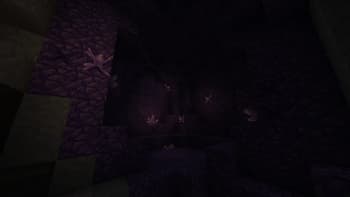 ReProgrammer screenshot