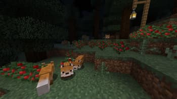 ReProgrammer screenshot