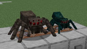 Fresh Animations: Spiders screenshot