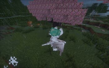Shape Shifter Curse screenshot