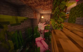 Shape Shifter Curse screenshot