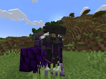 Ice and Fire: Spellbooks screenshot