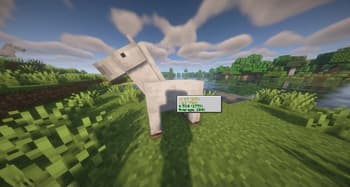 Horse Power screenshot