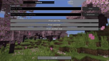 NCL Skins screenshot