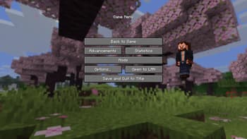 NCL Skins screenshot