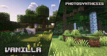 Photosynthesis screenshot