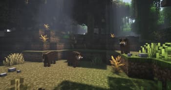 Photosynthesis screenshot
