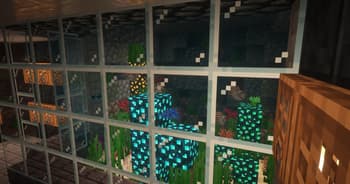 New World screenshot