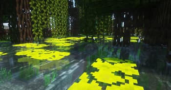 New World screenshot
