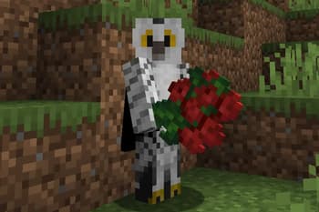 Double Flowers Retexture screenshot