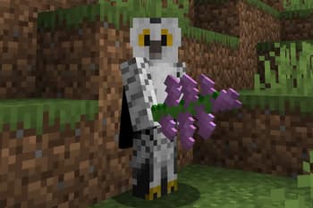 Double Flowers Retexture screenshot