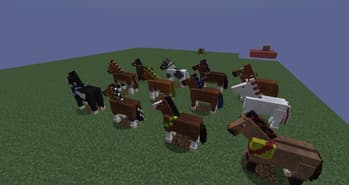 Truly Custom Horse Tack screenshot