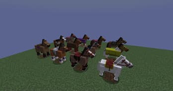 Truly Custom Horse Tack screenshot